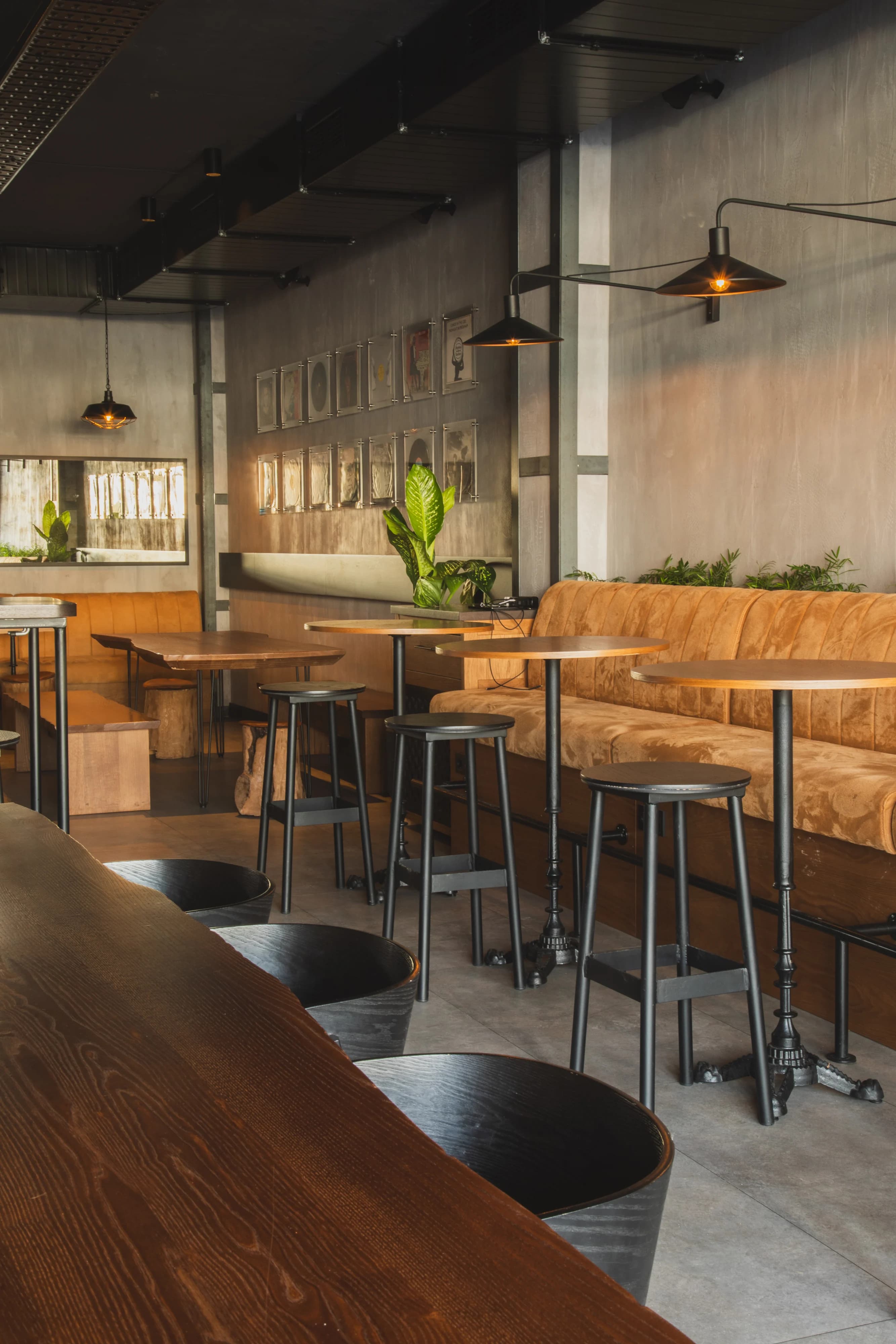 Spot Bar — 6