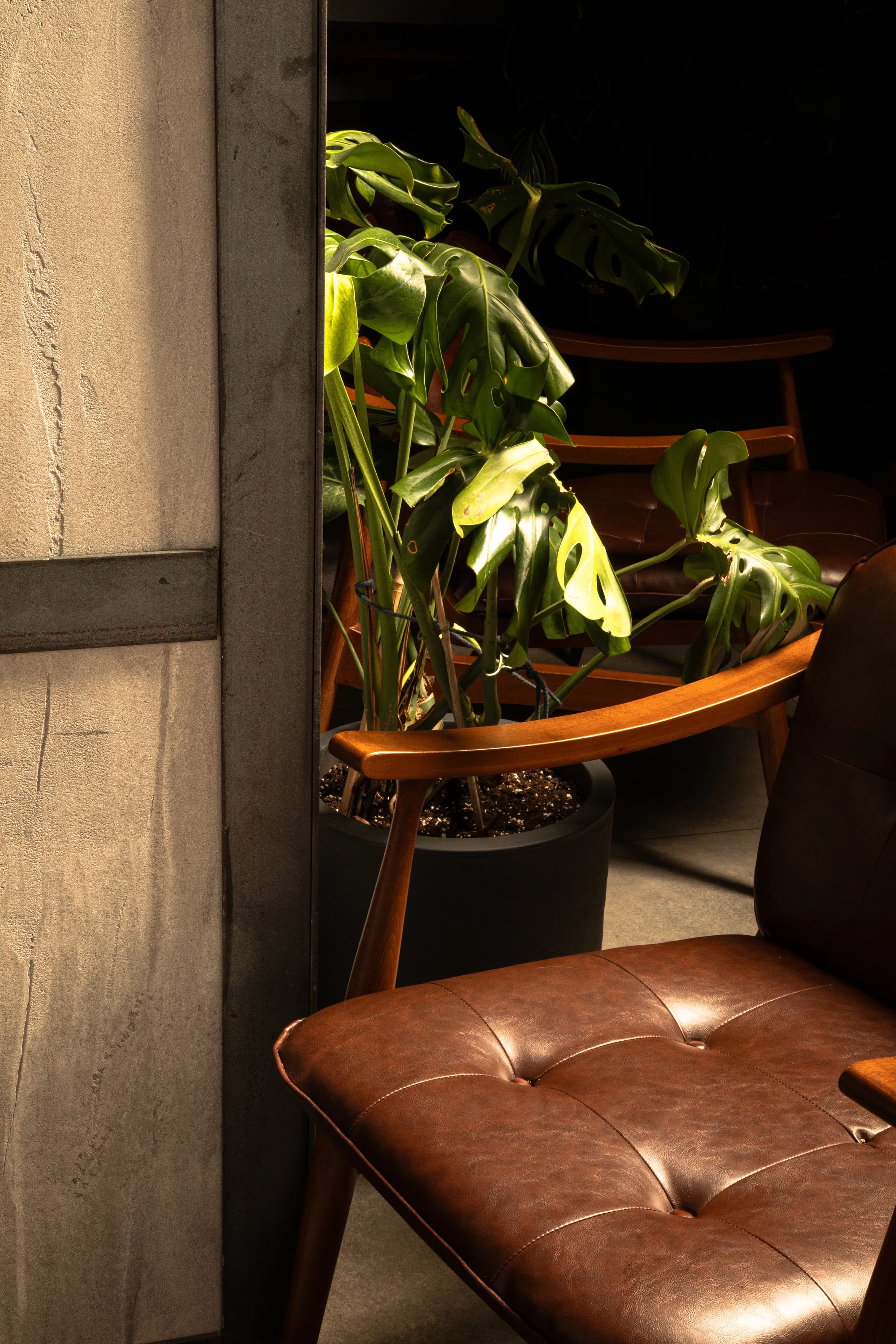Spot Bar — 19